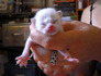 4dia4.jpg